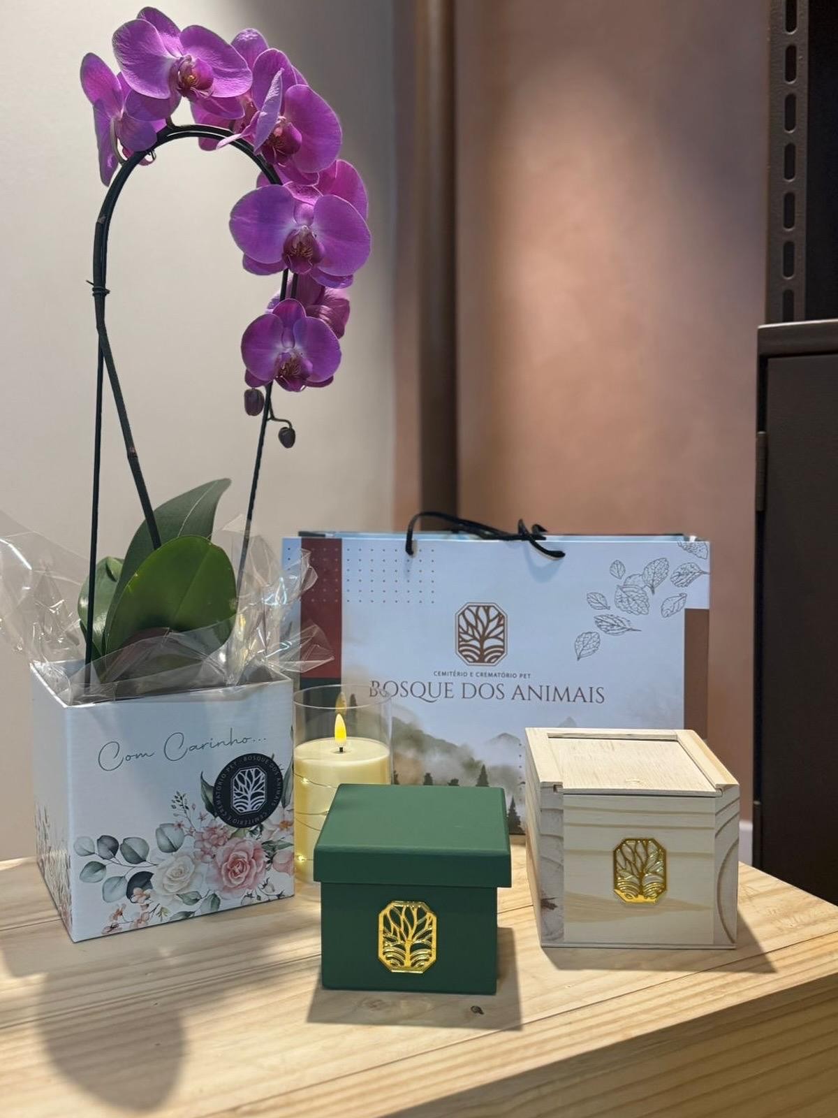 Cremação Pet: Como Funciona, Quanto Custa e a Despedida Digna do Seu Amigo