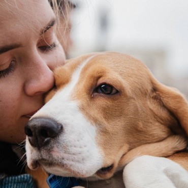 Sepultamento Pet Individual em Inhaúma